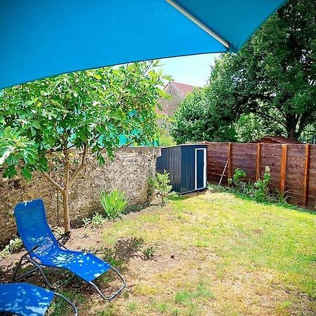 Scey-sur-Saone-et-Saint-Albin Tres Bel Appartement Avec Jardin Et Jacuzzi מראה חיצוני תמונה